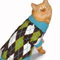 Argyle Sweater